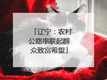 辽宁：农村公路串联起群众致富希望