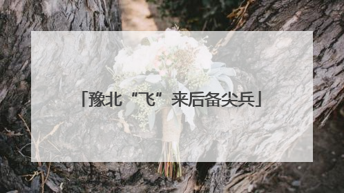 豫北“飞”来后备尖兵