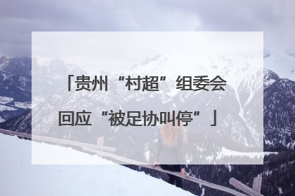 贵州“村超”组委会回应“被足协叫停”