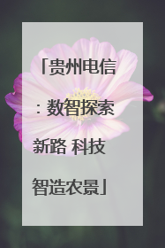 贵州电信：数智探索新路 科技智造农景
