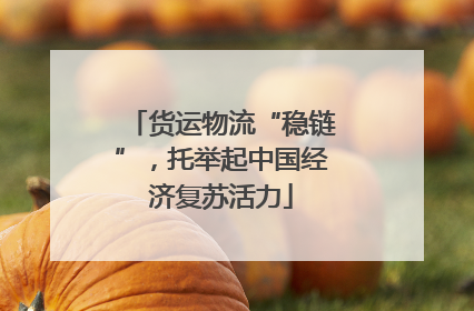 货运物流“稳链”，托举起中国经济复苏活力