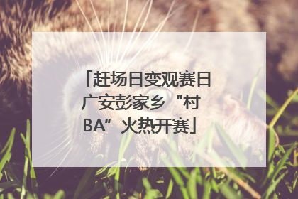 赶场日变观赛日 广安彭家乡“村BA”火热开赛