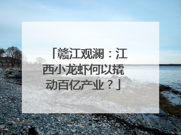 赣江观澜：江西小龙虾何以撬动百亿产业？