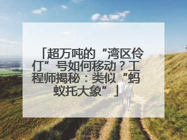 超万吨的“湾区伶仃”号如何移动？工程师揭秘：类似“蚂蚁托大象”