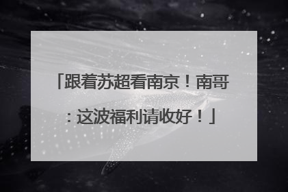 跟着苏超看南京！南哥：这波福利请收好！