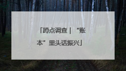 蹲点调查｜“账本”里头话振兴