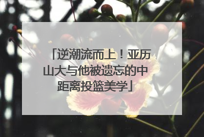 逆潮流而上！亚历山大与他被遗忘的中距离投篮美学