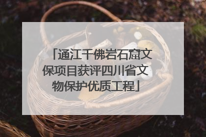 通江千佛岩石窟文保项目获评四川省文物保护优质工程