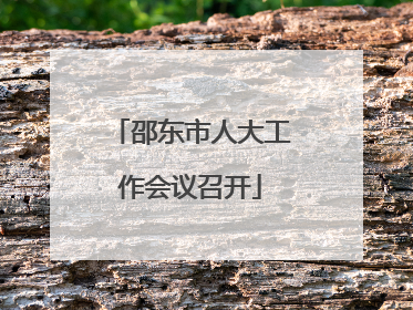邵东市人大工作会议召开