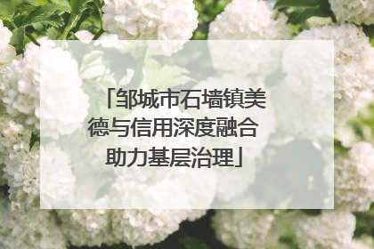 邹城市石墙镇美德与信用深度融合助力基层治理