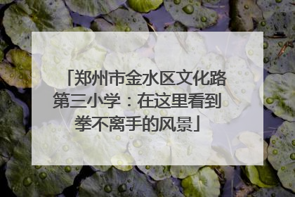 郑州市金水区文化路第三小学：在这里看到拳不离手的风景