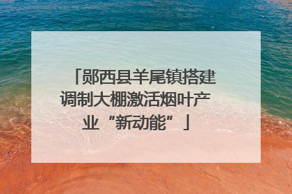 郧西县羊尾镇搭建调制大棚激活烟叶产业“新动能”
