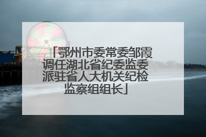 鄂州市委常委邹霞调任湖北省纪委监委派驻省人大机关纪检监察组组长