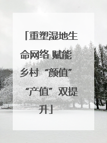 重塑湿地生命网络 赋能乡村“颜值”“产值”双提升