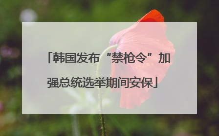 韩国发布“禁枪令”加强总统选举期间安保