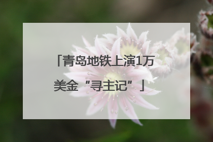 青岛地铁上演1万美金“寻主记”