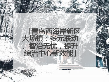 青岛西海岸新区大场镇：多元联动、智治无忧，提升综治中心新效能