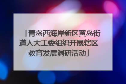 青岛西海岸新区黄岛街道人大工委组织开展辖区教育发展调研活动