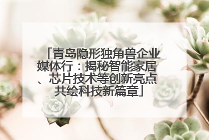 青岛隐形独角兽企业媒体行：揭秘智能家居、芯片技术等创新亮点 共绘科技新篇章