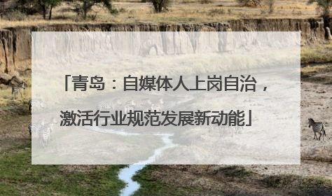 青岛：自媒体人上岗自治，激活行业规范发展新动能