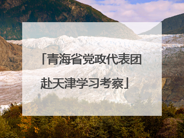 青海省党政代表团赴天津学习考察