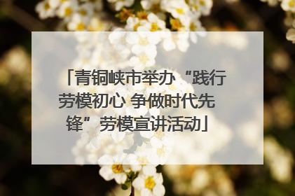 青铜峡市举办“践行劳模初心 争做时代先锋”劳模宣讲活动