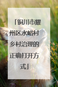 铜川市耀州区水峪村乡村治理的正确打开方式