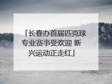长春办首届匹克球专业赛事受欢迎 新兴运动正走红
