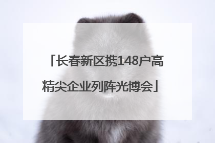 长春新区携148户高精尖企业列阵光博会