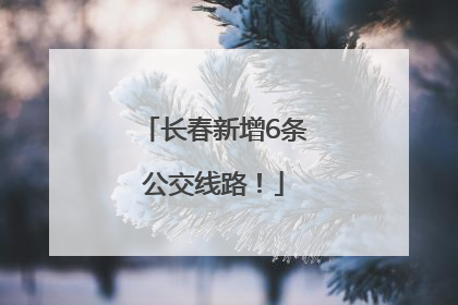 长春新增6条公交线路！