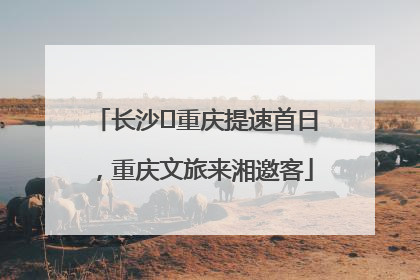 长沙⇌重庆提速首日，重庆文旅来湘邀客