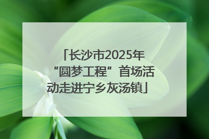 长沙市2025年“圆梦工程”首场活动走进宁乡灰汤镇