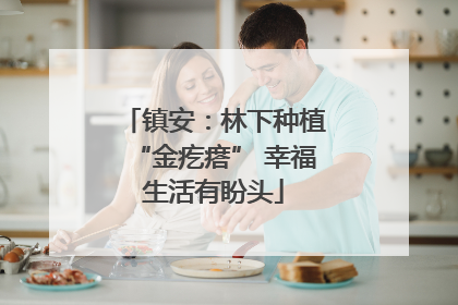 镇安：林下种植“金疙瘩” 幸福生活有盼头