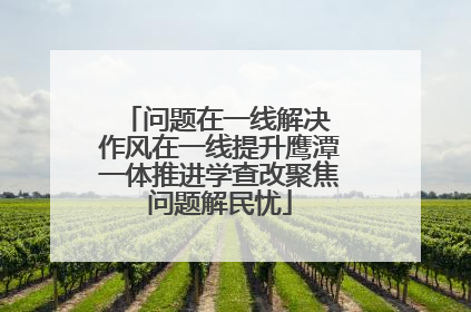 问题在一线解决 作风在一线提升鹰潭一体推进学查改聚焦问题解民忧
