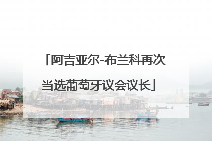 阿吉亚尔-布兰科再次当选葡萄牙议会议长