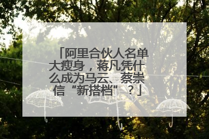 阿里合伙人名单大瘦身，蒋凡凭什么成为马云、蔡崇信“新搭档”？
