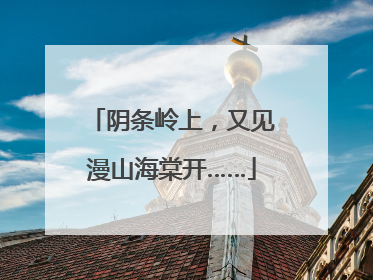 阴条岭上，又见漫山海棠开……