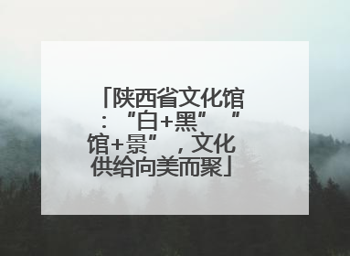 陕西省文化馆：“白+黑”“馆+景”，文化供给向美而聚