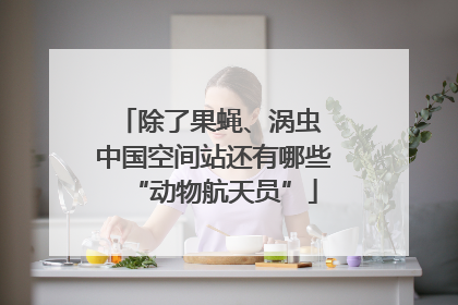 除了果蝇、涡虫 中国空间站还有哪些“动物航天员”