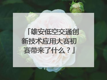 雄安低空交通创新技术应用大赛初赛带来了什么？