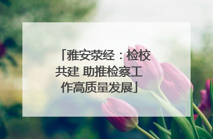 雅安荥经：检校共建 助推检察工作高质量发展