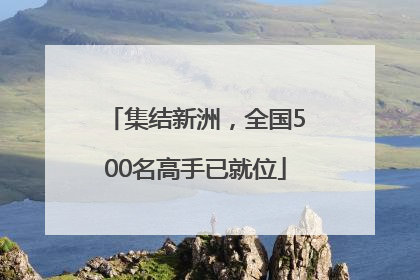 集结新洲，全国500名高手已就位