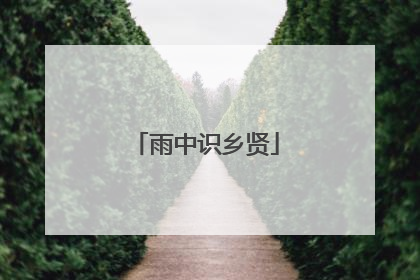 雨中识乡贤