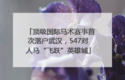 顶级国际马术赛事首次落户武汉，547对人马“飞跃”英雄城