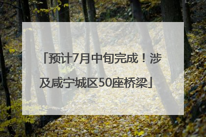 预计7月中旬完成！涉及咸宁城区50座桥梁