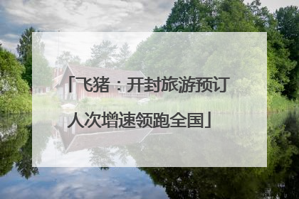 飞猪：开封旅游预订人次增速领跑全国