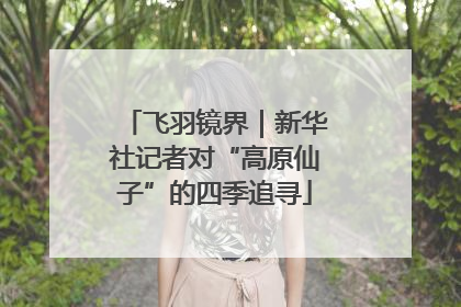 飞羽镜界｜新华社记者对“高原仙子”的四季追寻