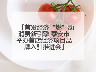首发经济“燃”动消费新引擎 泰安市举办首店经济项目品牌入驻推进会