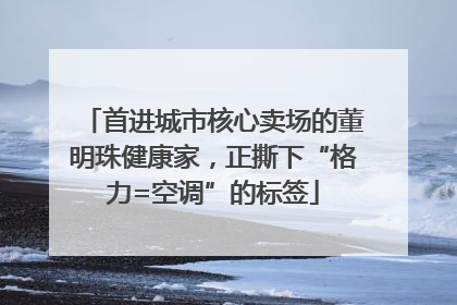 首进城市核心卖场的董明珠健康家，正撕下“格力=空调”的标签