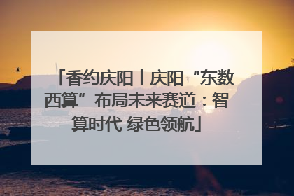 香约庆阳丨庆阳“东数西算”布局未来赛道：智算时代 绿色领航